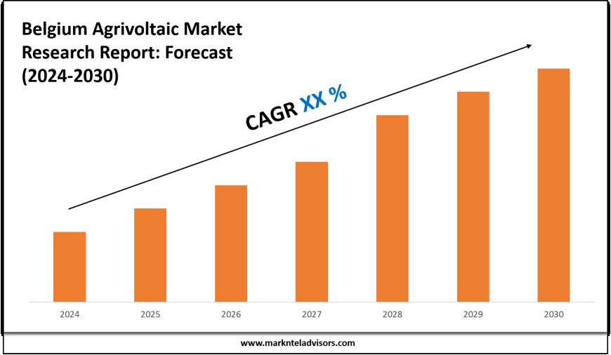 Belgium Agrivoltaic Market Key Players, Trends and Forecast Report 2030