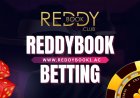 ReddyBook Return Policy: What Happens to Your Money on Cancelled Bets?