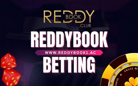 ReddyBook Return Policy: What Happens to Your Money on Cancelled Bets?